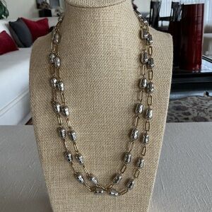 Ann Taylor Gold Chain  and Silver Rhodium Plated Necklace